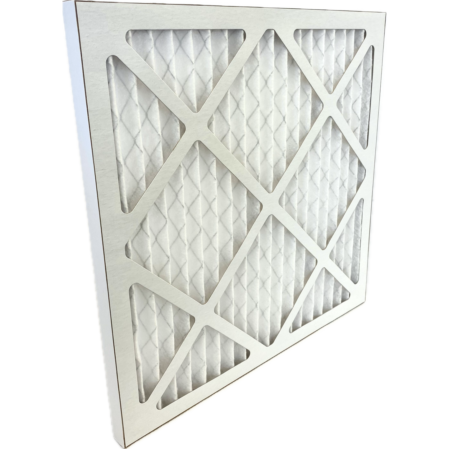 AF550 Pre-Filters 10/ctn