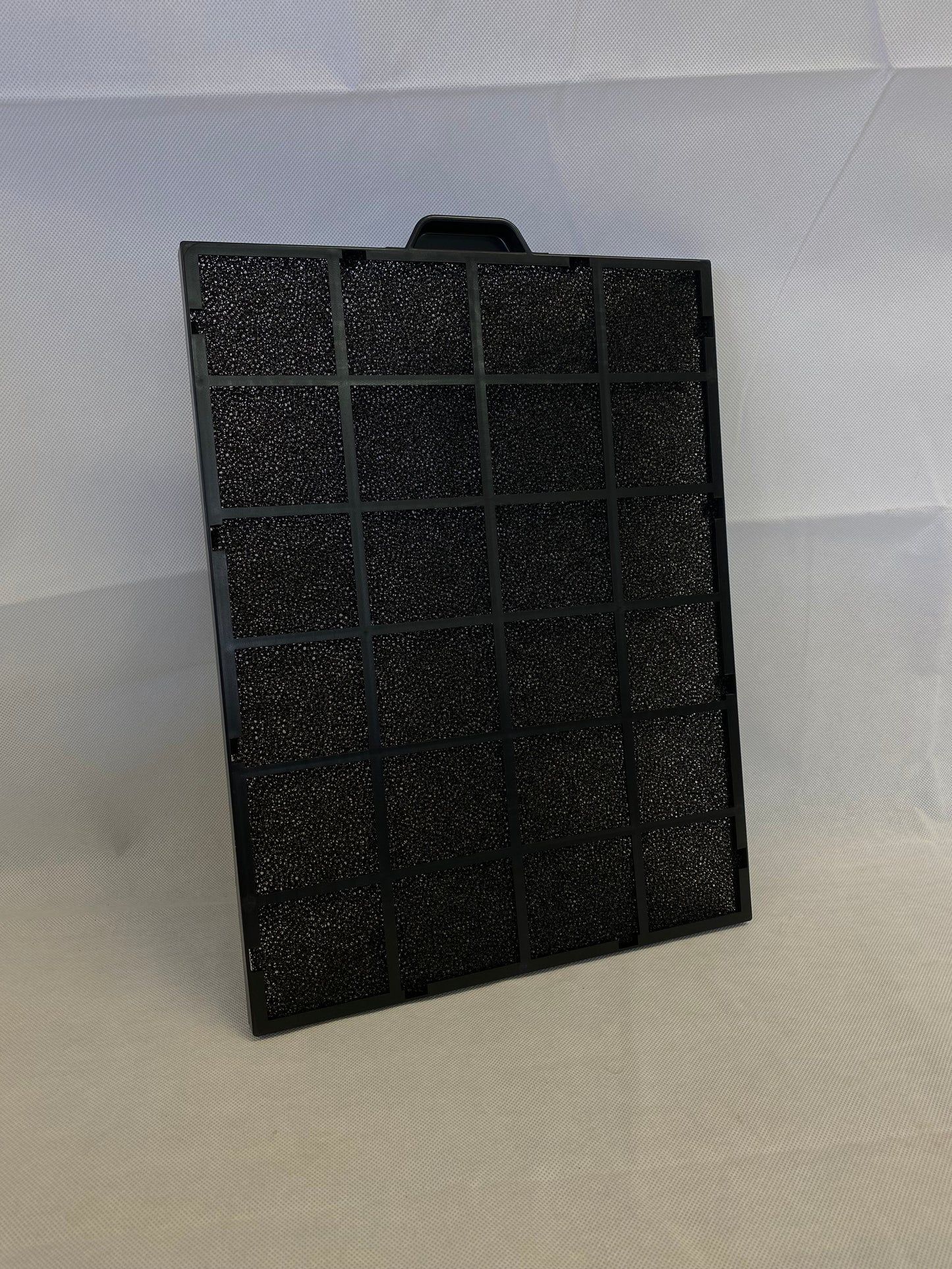 DY65L Air Filter (DY-65L-02)